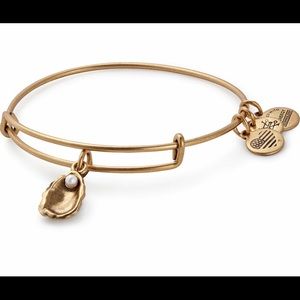 Alex and Ani bracelet